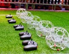 盐津小学篮,球队荣获全,国冠军,PM体育官方网站,PM体育app下载平台,PM体育平台首页,PM体育官网入口