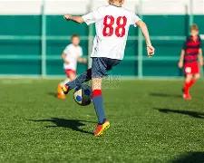 谢志辉新作,追寻,荷塘月色,PM体育官方网站,PM体育app下载平台,PM体育平台首页,PM体育官网入口