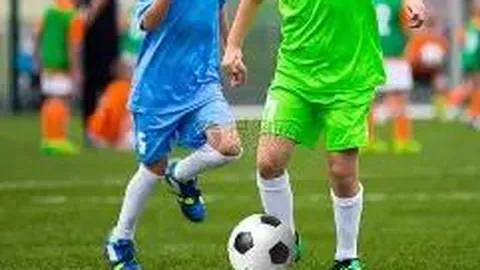 PM体育官方网站 产品 085908 960