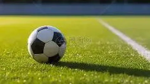 PM体育官方网站 产品 092114 sx2